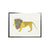 Watercolor Lion Framed Art - Rug & Home
