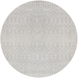 Astra Machine Washable ASW10 Grey Rug
