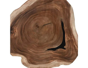 Celine Live Edge Coffee Table Natural