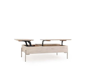 Rocklin Double Lift Top Coffee Table