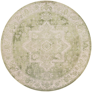 Astra Machine Washable ASW12 Ivory Green Rug