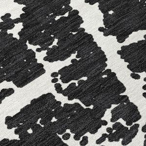 Chantille ACN501 Black Rug