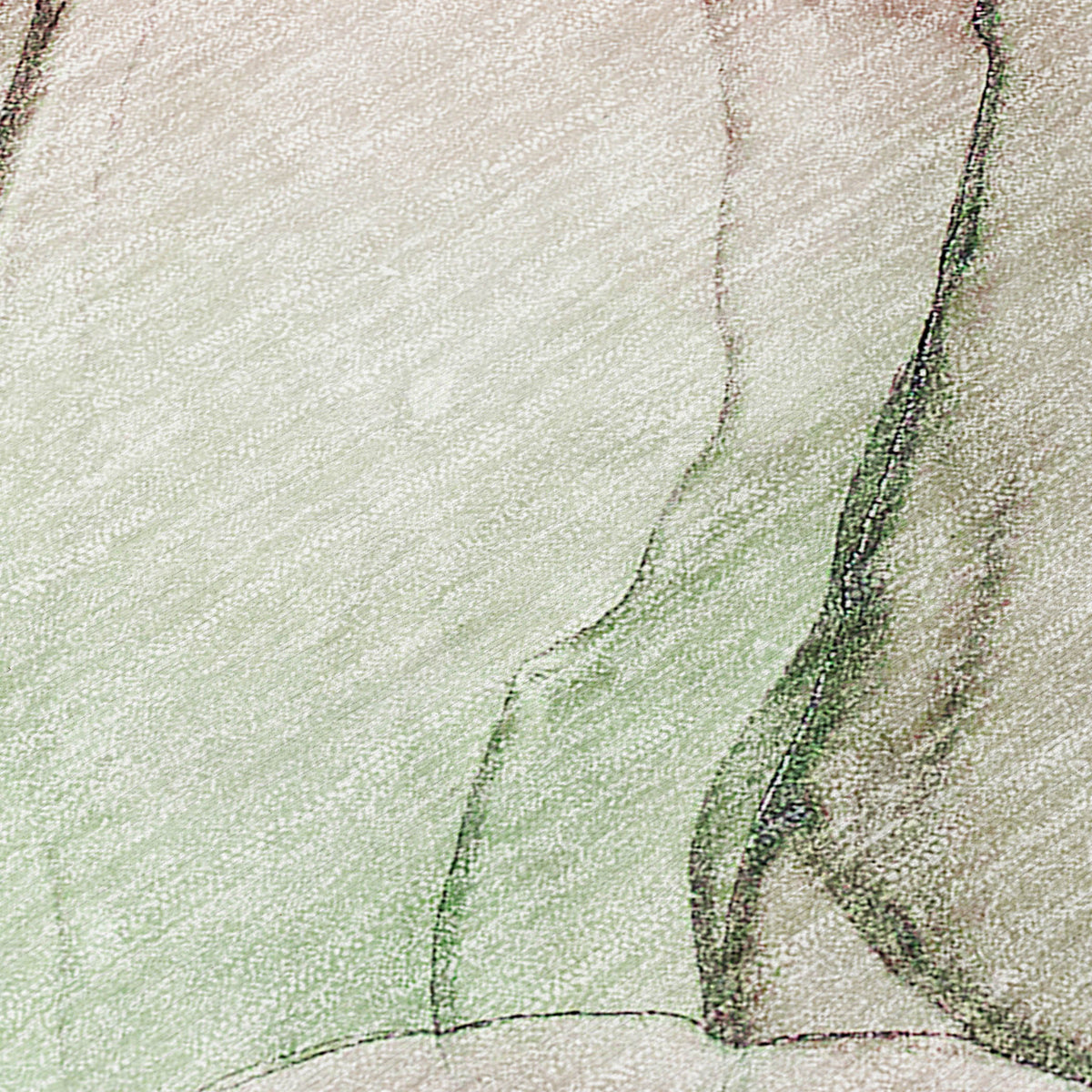 Chantille ACN502 Blush Rug