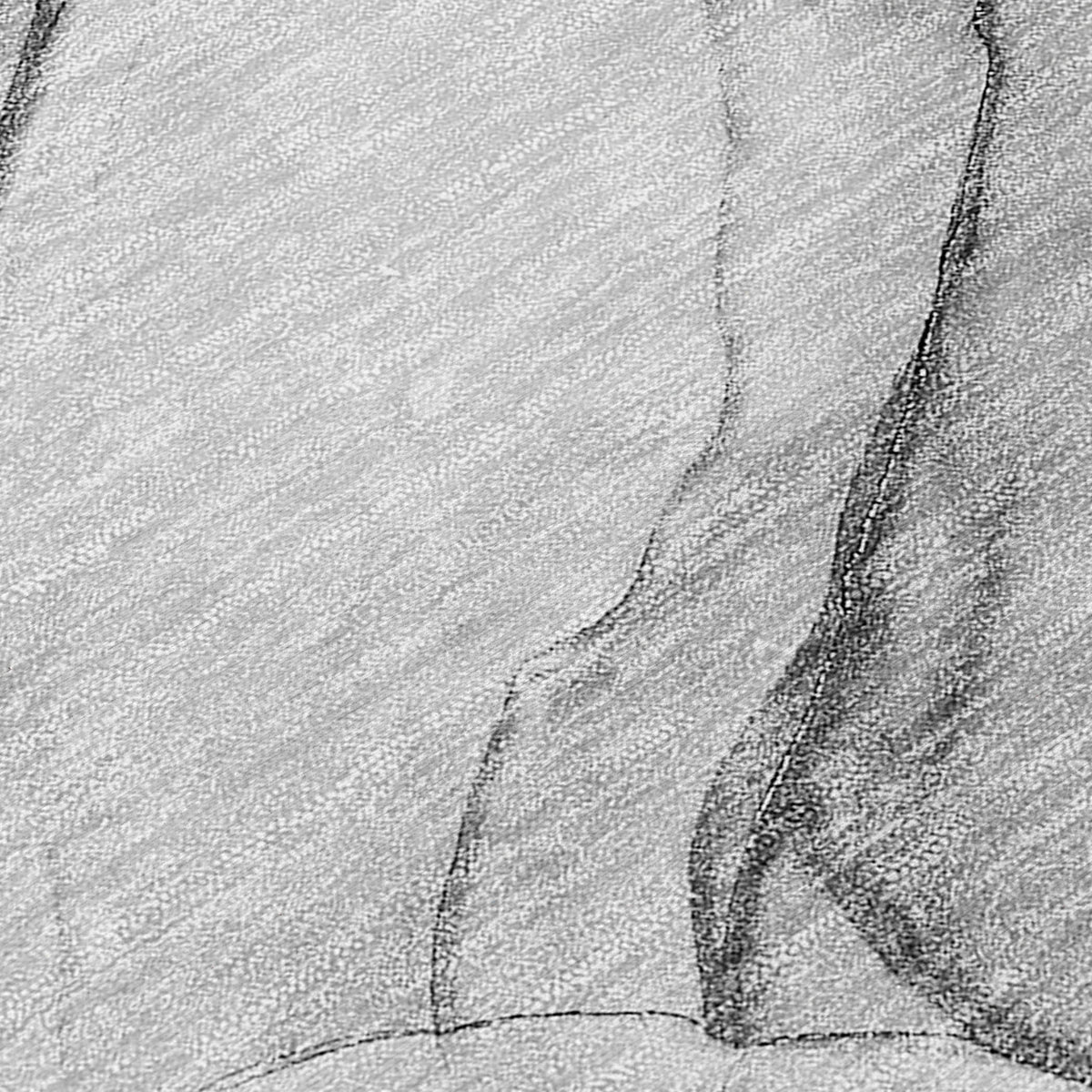 Chantille ACN502 Gray Rug