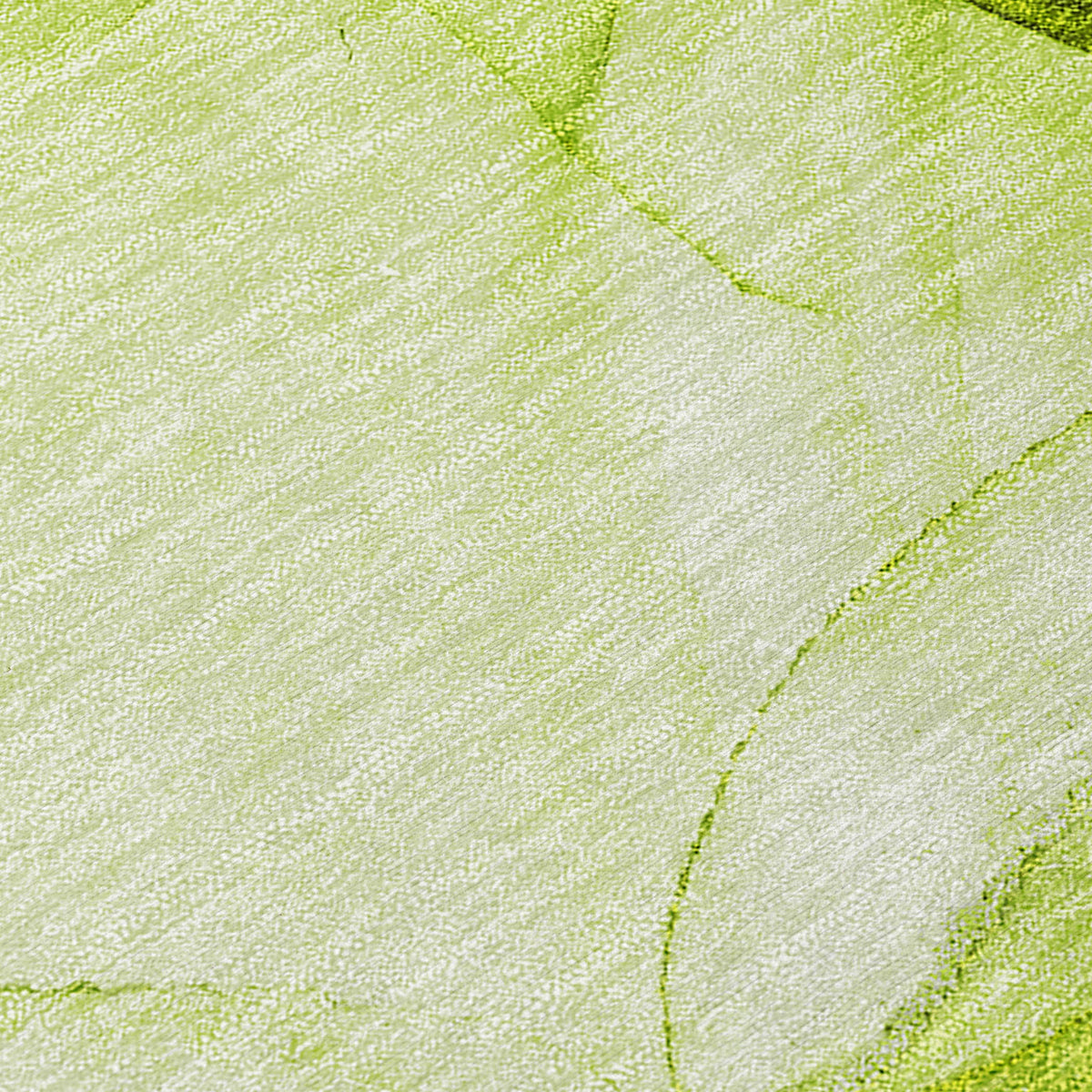 Chantille ACN507 Green Rug