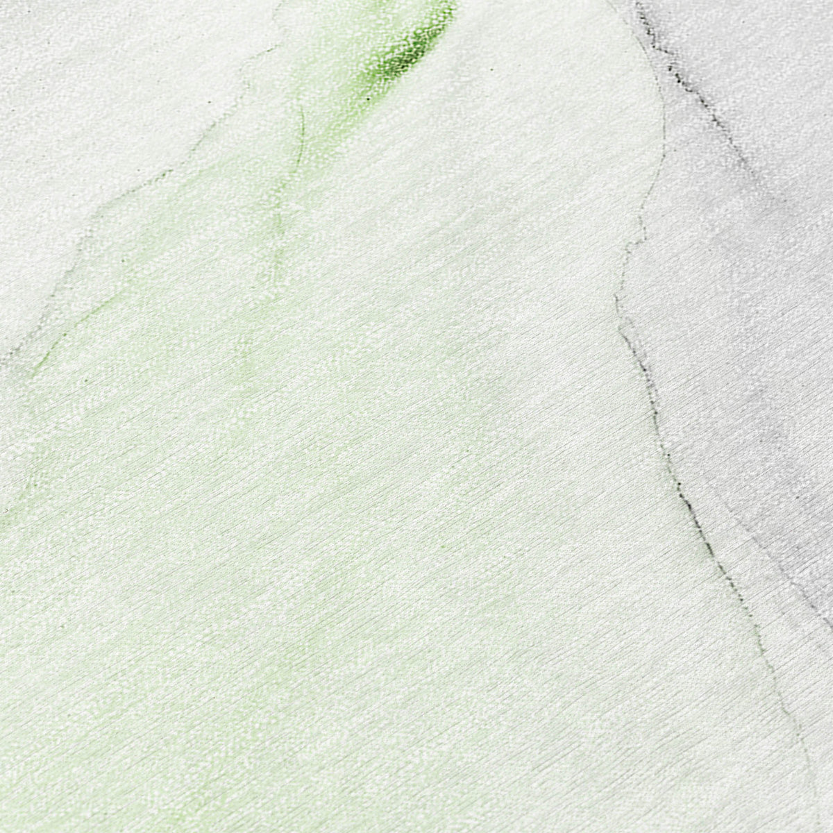 Chantille ACN515 Green Rug