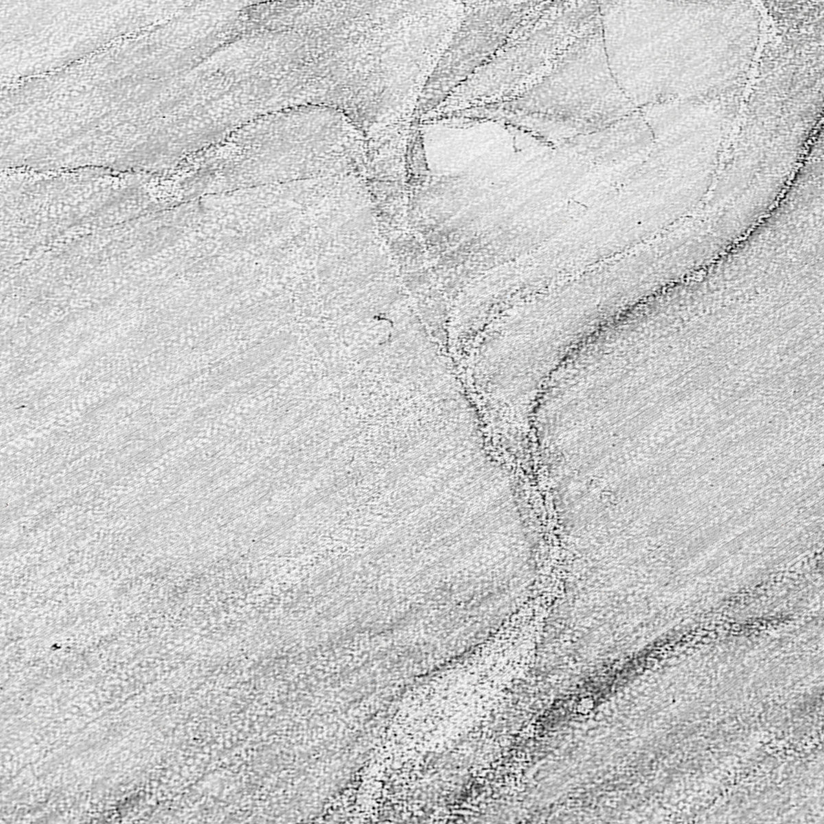 Chantille ACN516 Gray Rug