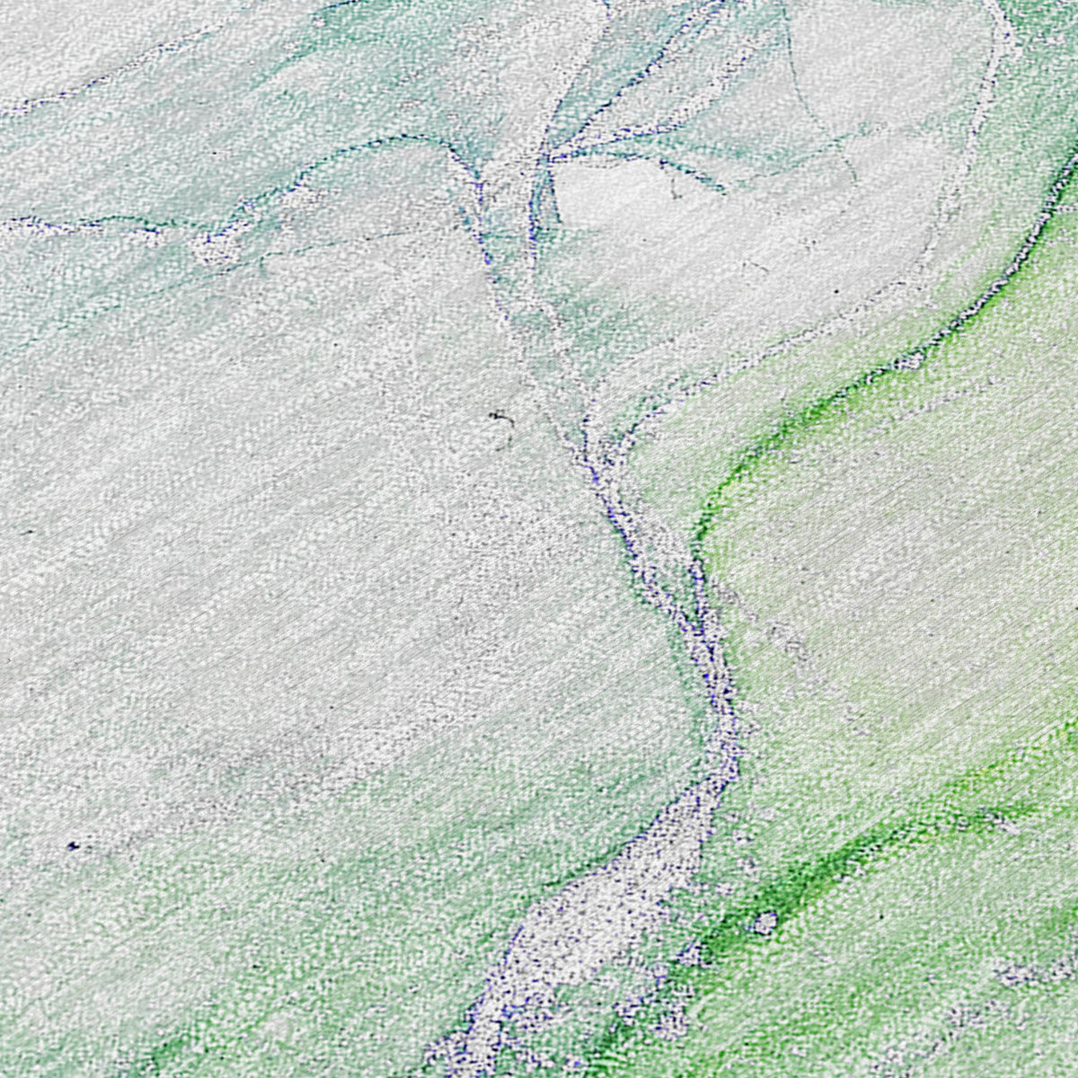 Chantille ACN516 Green Rug