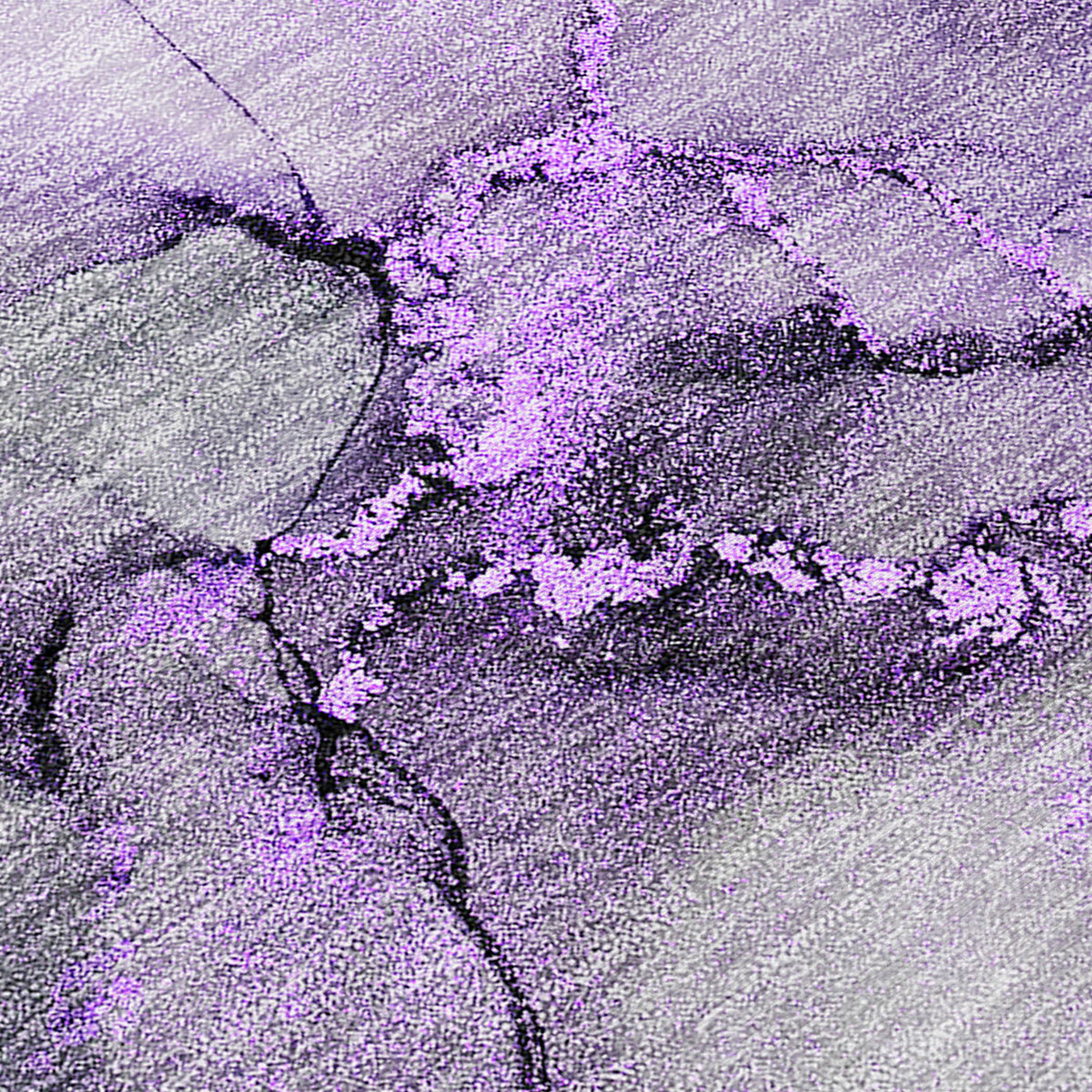 Chantille ACN520 Purple Rug