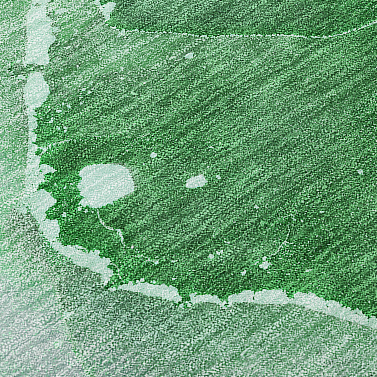 Chantille ACN522 Emerald Rug