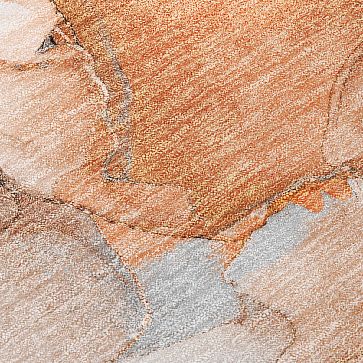 Chantille ACN526 Paprika Rug