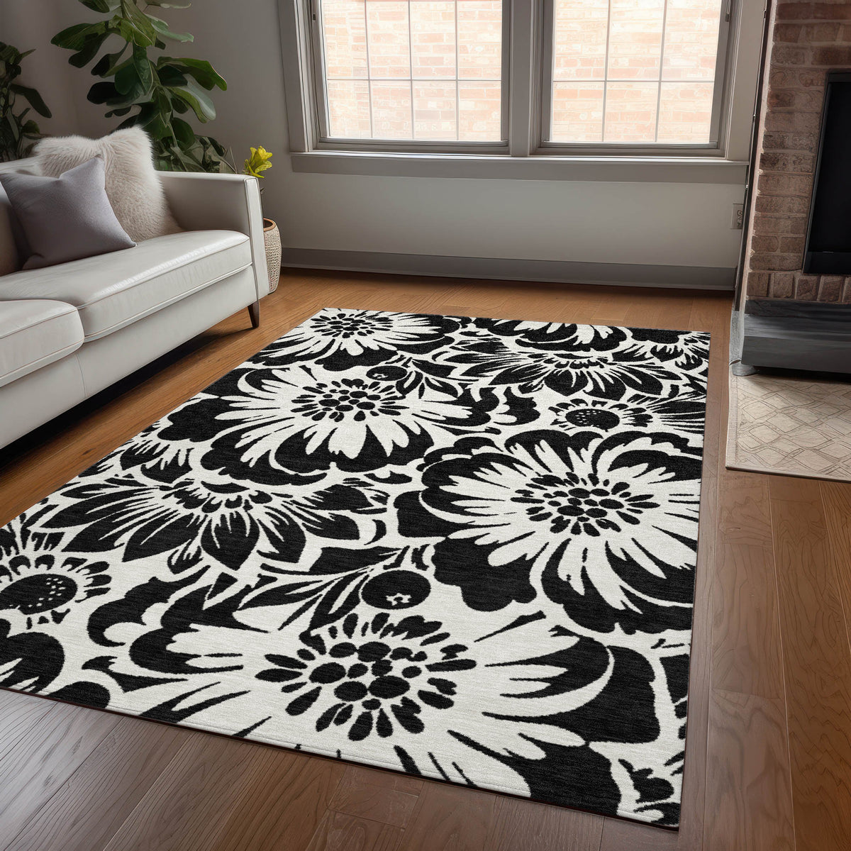 Chantille ACN551 Black Rug