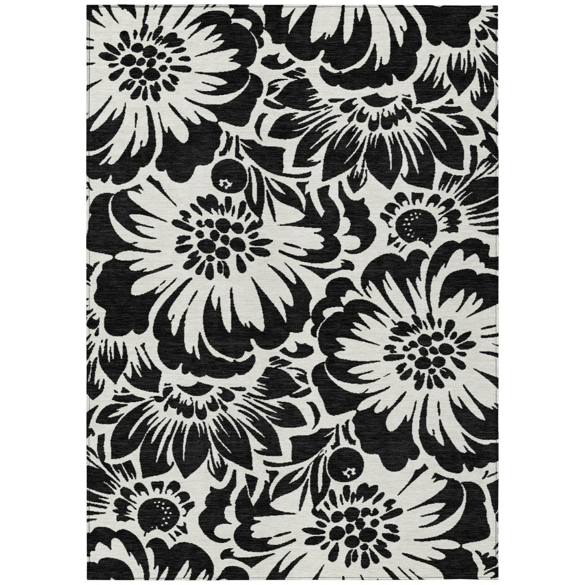 Chantille ACN551 Black Rug
