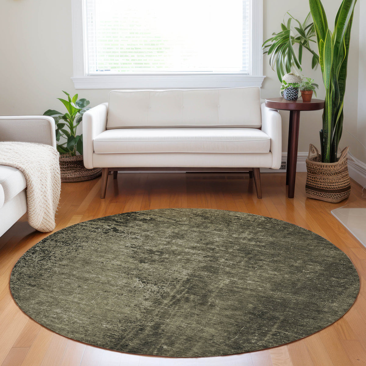Chantille ACN554 Gray Rug