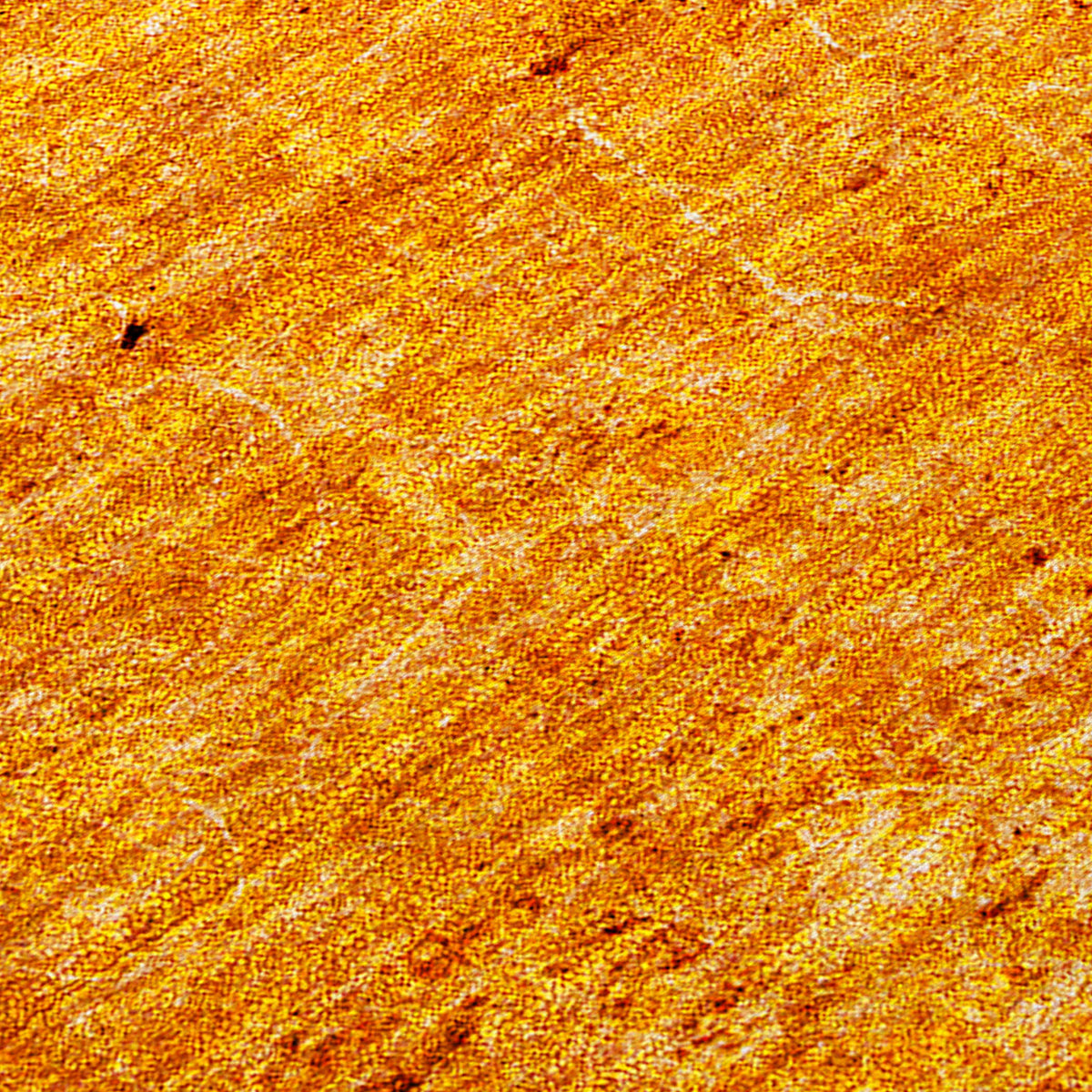 Chantille ACN554 Paprika Rug