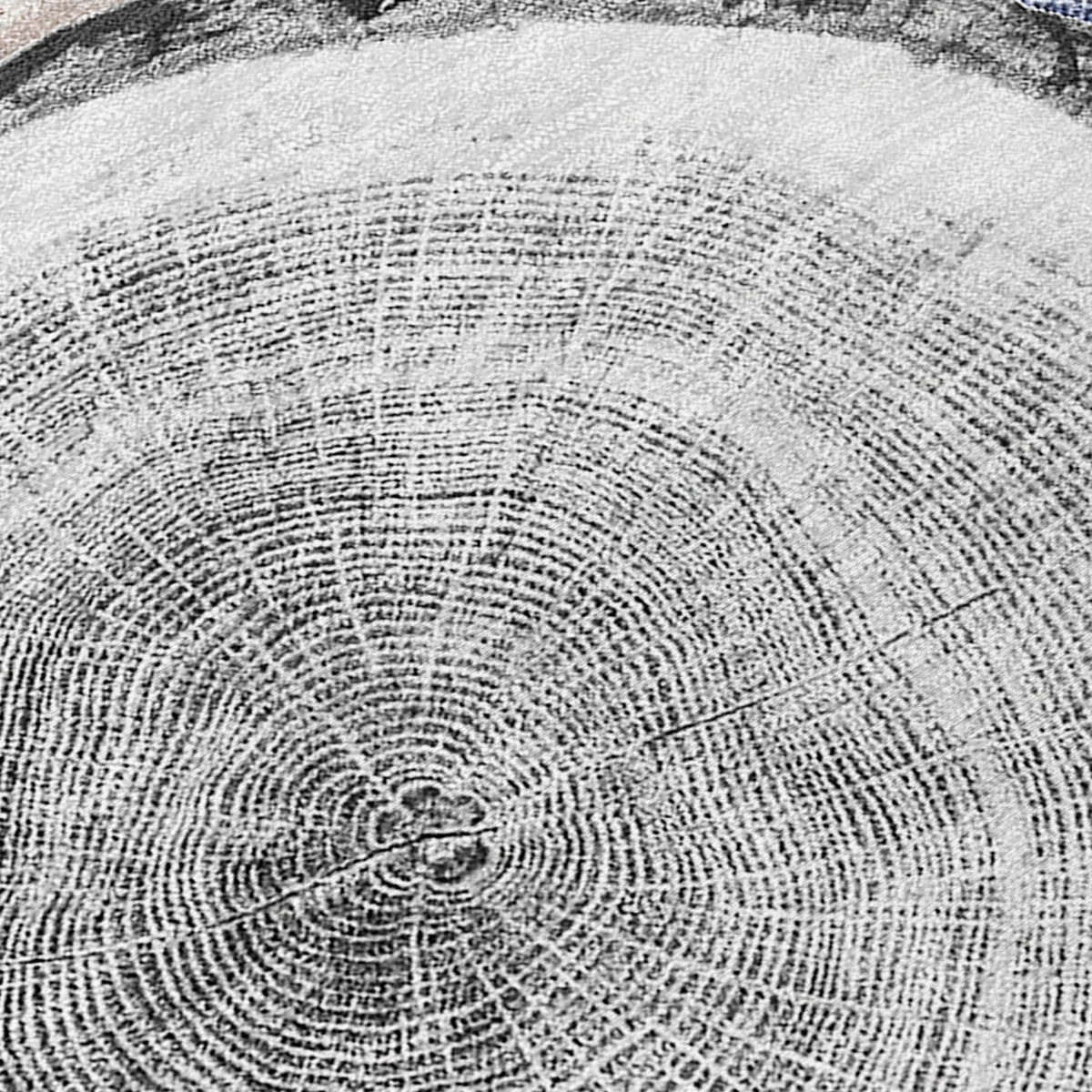 Chantille ACN575 Beige Rug