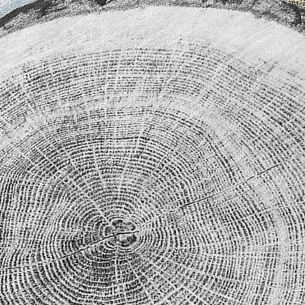 Chantille ACN575 Blue Rug