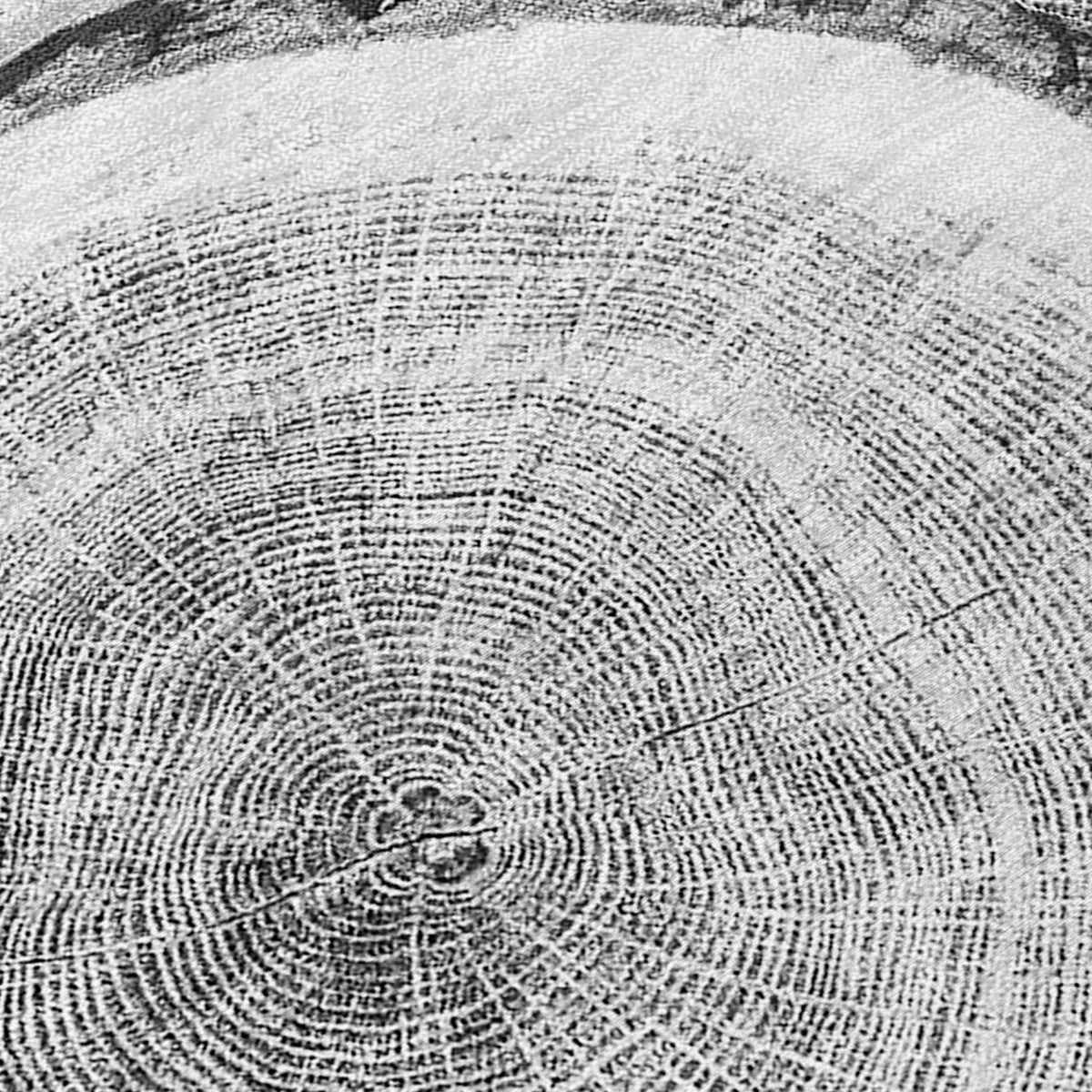 Chantille ACN575 Gray Rug