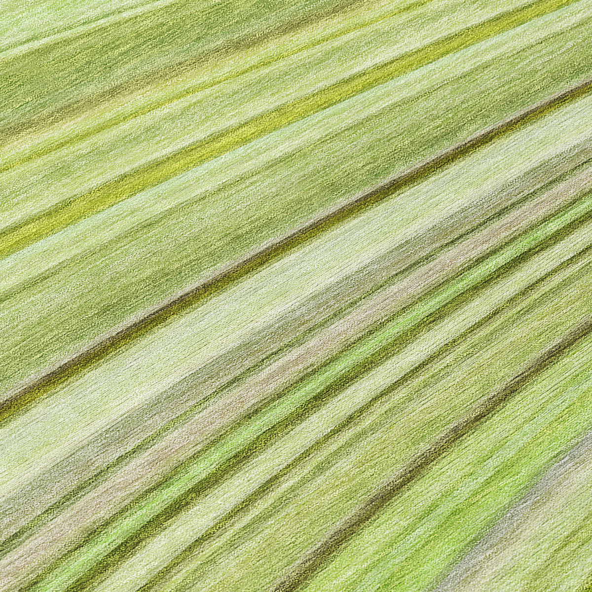 Chantille ACN585 Aloe Rug