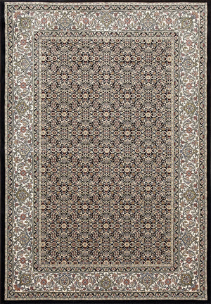 Ancient Garden 57011-3263 Black/Ivory Rug