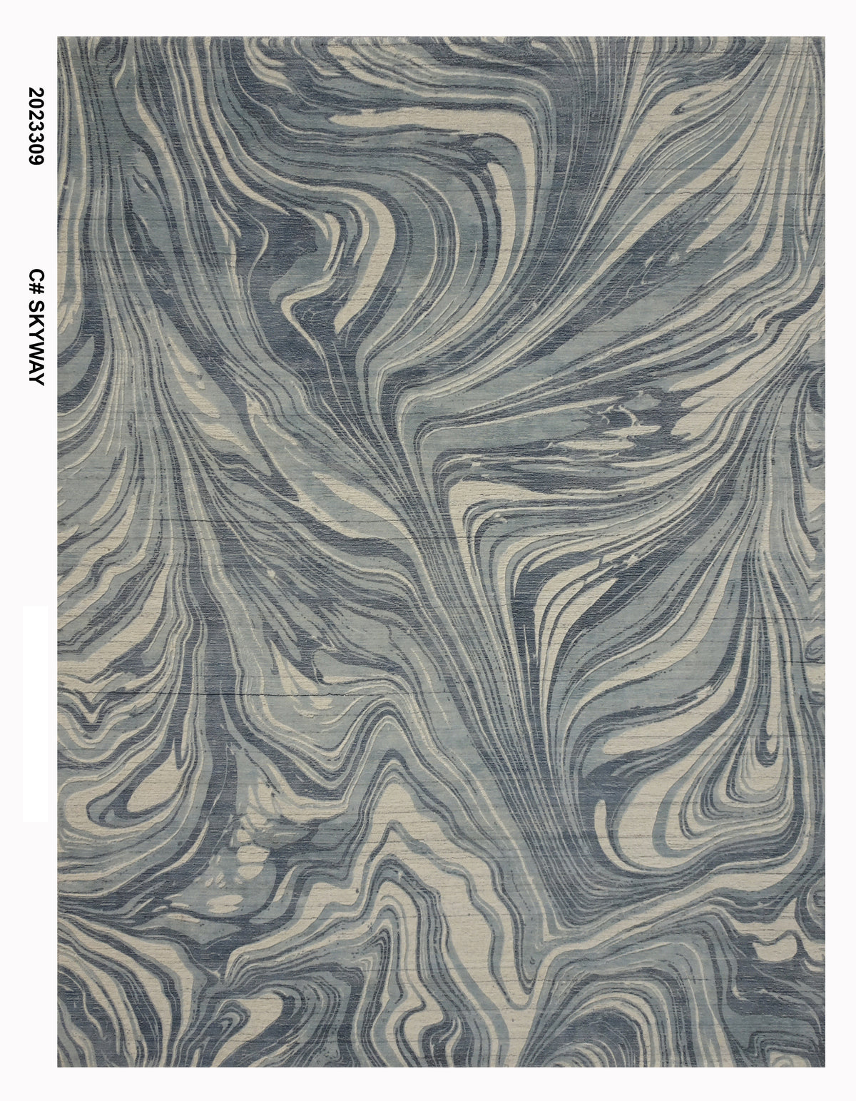 Cozy Printed RH-2023309 Skyway Rug