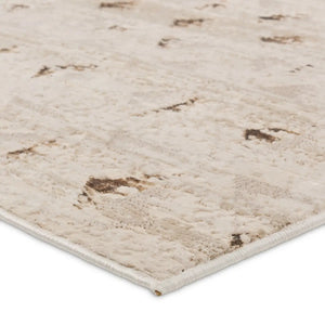 Catalyst CTY30 Ivory Rugs