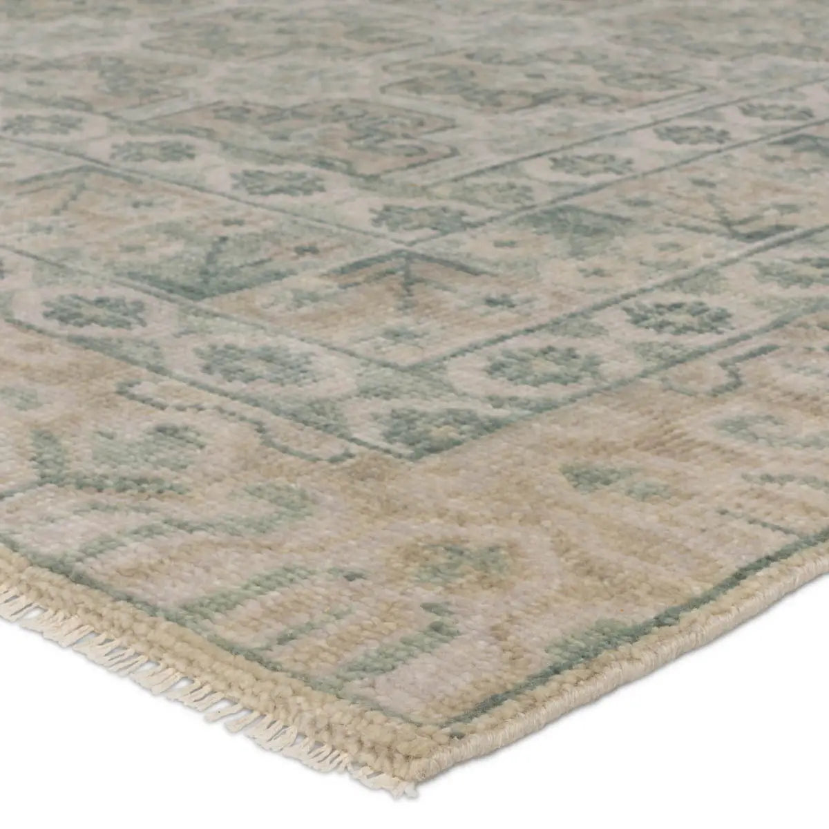 Salinas SLN19 Sage/Light Brown Rug