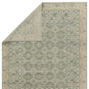 Salinas SLN19 Sage/Light Brown Rug