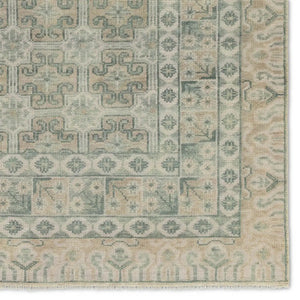 Salinas SLN19 Sage/Light Brown Rug