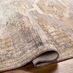 Aida AAD-2303 Beige / Gray Rug