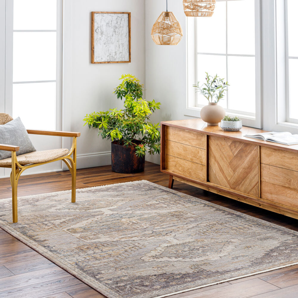 Aida AAD-2303 Beige / Gray Rug