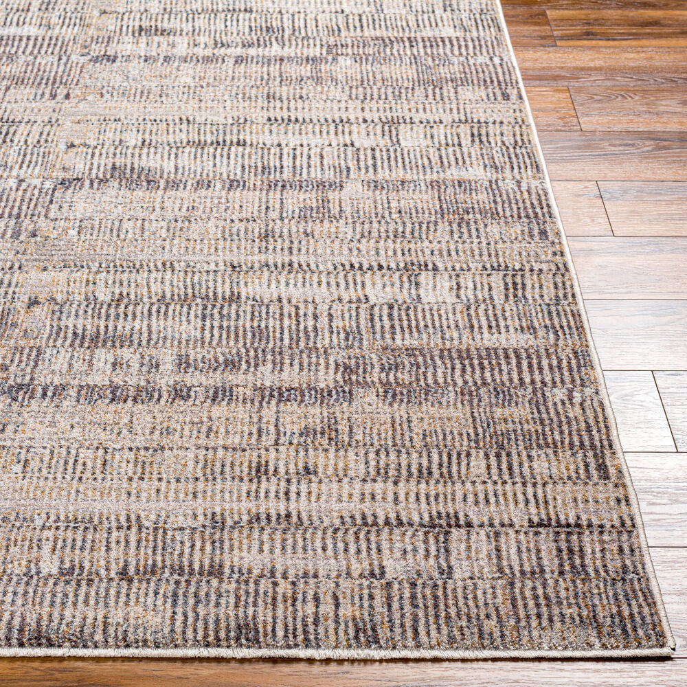 Aida AAD-2304 Beige / Charcoal Rug