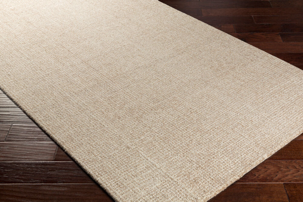 Aiden AEN-1000 Ivory / Tan Rug