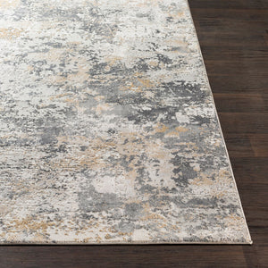 Aisha AIS-2303 Charcoal / Gray Rug