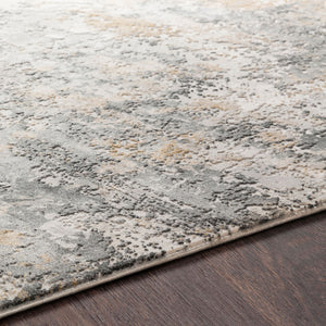 Aisha AIS-2303 Charcoal / Gray Rug