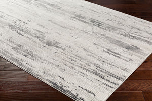 Aisha AIS-2304 Charcoal / Gray Rug