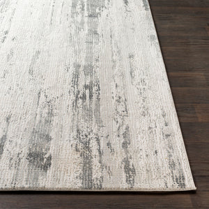 Aisha AIS-2304 Charcoal / Gray Rug