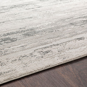 Aisha AIS-2304 Charcoal / Gray Rug
