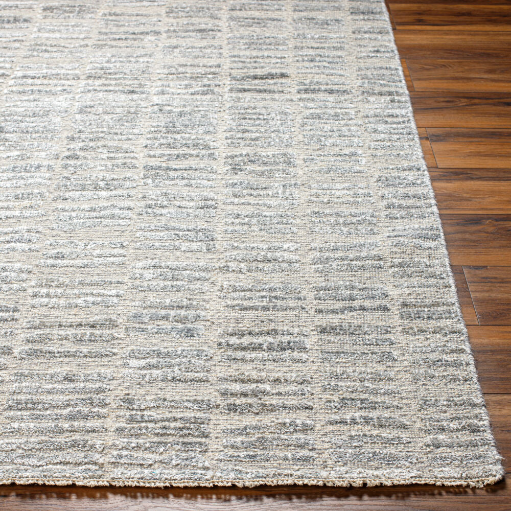 Amina AMA-2300 Gray / Light Beige Rug