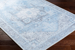 Amelie AML-2362 Denim / Ice Blue Rug