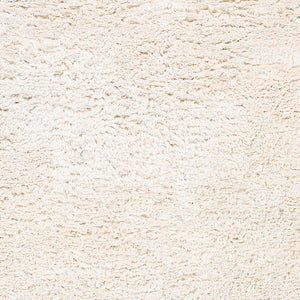 Ashton ASH-1300 Cream Rug