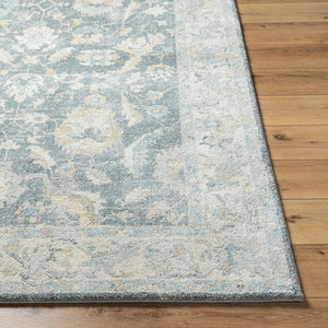 Avellino AVL-2305 Deep Teal / Denim Rug
