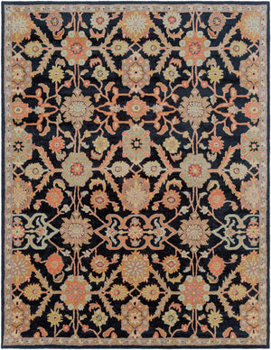 Middleton AWMD-2073 Black / Camel Rug