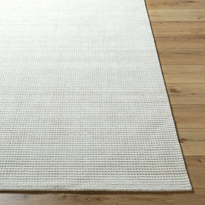 Boston BBT-2300 Ivory / Light Beige Rug