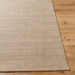 Boston BBT-2307 Ivory / Tan Rug