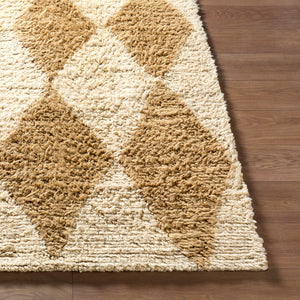 Beni Moroccan BMC-2313 Rug