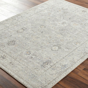 Davina BOCC-2300 Brown / Denim Rug