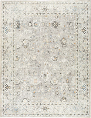 Davina BOCC-2300 Brown / Denim Rug
