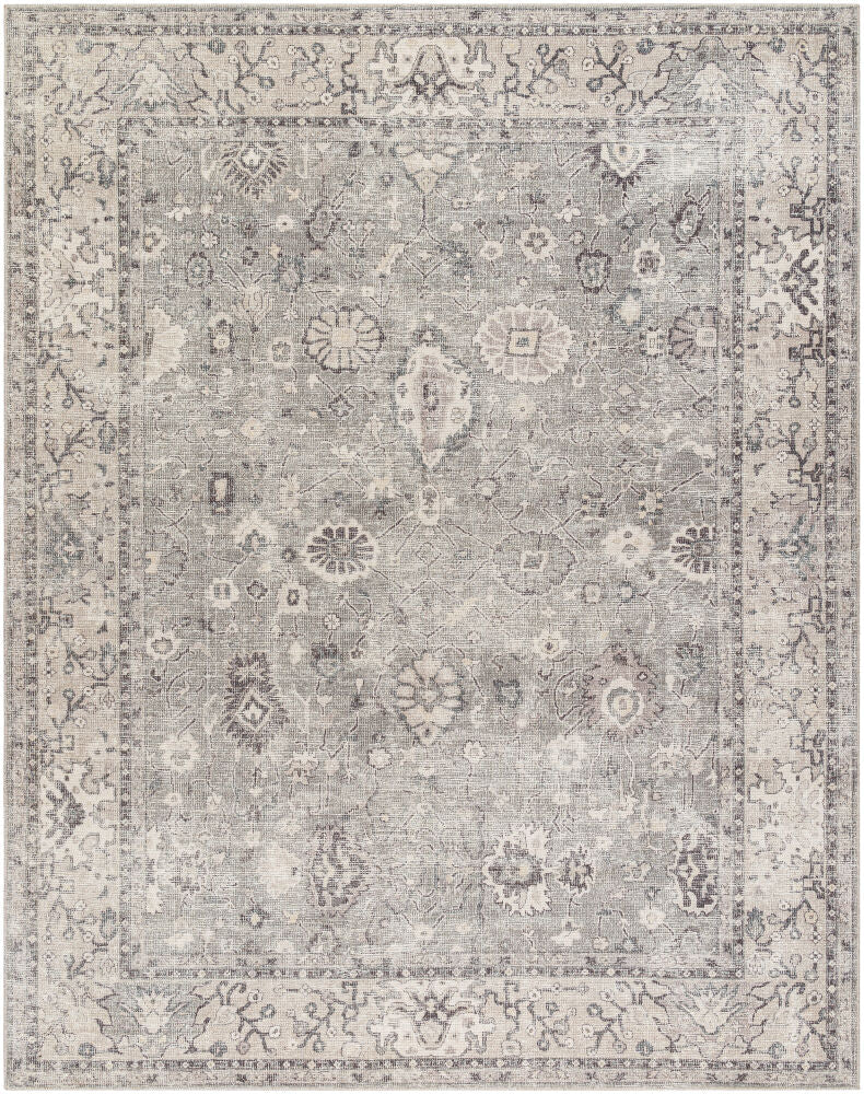 Davina BOCC-2301 Charcoal / Light Gray Rug