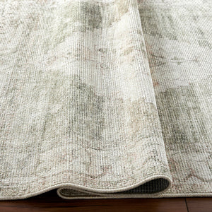 Luca BONC-2302 Ivory / Light Brown Rug